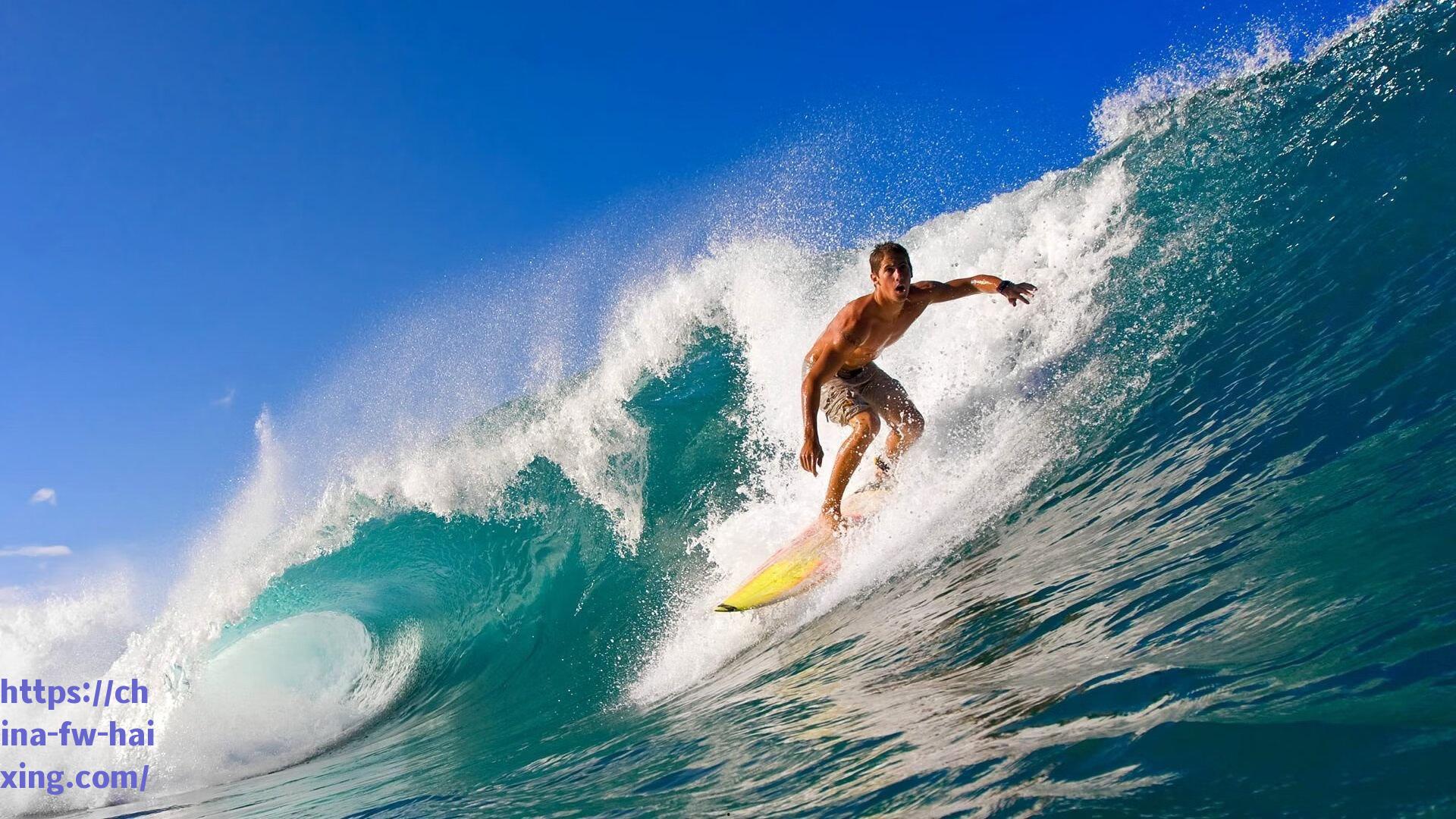 尼克斯专注现有阵容，森林狼核心唐斯交易传闻遭否认