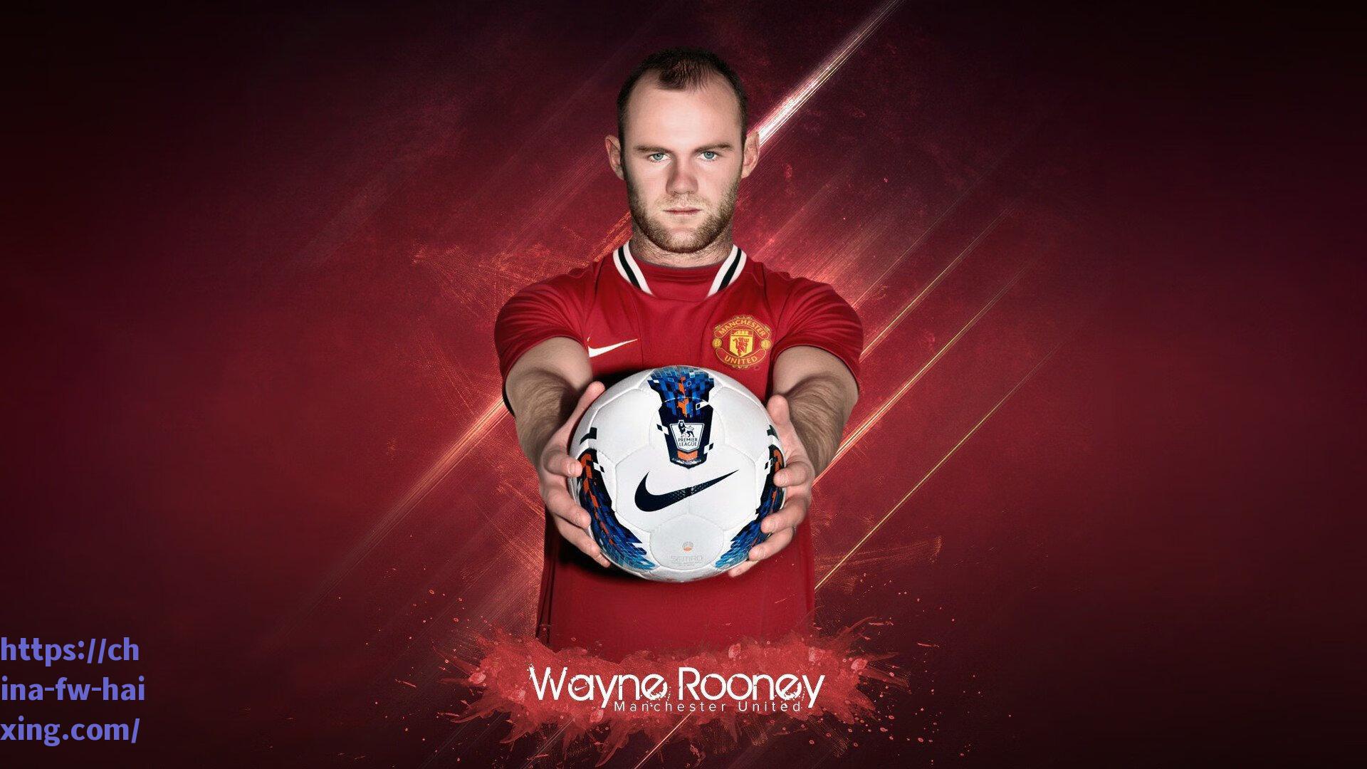 荷甲劲旅锁定未来锋线，阿贾克斯租借红黑军团新星伊布拉希莫维奇